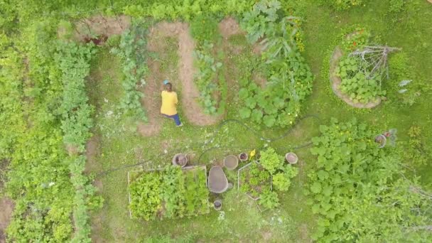 Niña Regar Las Aguas Del Lecho Col Rizada Jardín Propia — Vídeos de Stock