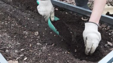 Bahçıvan yeni ekilen tohumları humuslu verimli toprakla serper. Bahçe için organik gübre, mevsimlik iş, yavaş çekim.