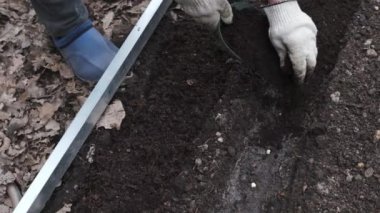 Çiftçi, ekilen tohumlardan oluşan bir yatağı humus ve gübre ile kaplıyor. Bahçe işleri, organik tarım ve bahçe işleri, yavaş çekim.