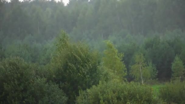 Het Regent Zwaar Winderig Slecht Bewolkt Weer Achtergrond Van Een — Stockvideo