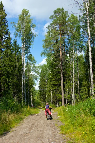 Ragazza in bicicletta tra alberi alti — Foto Stock