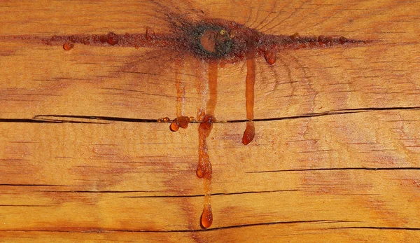 Resin flows over fir log — Stock Photo, Image