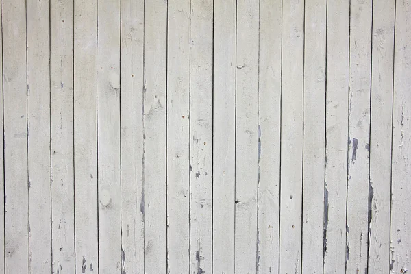 Vele verticale beige houten planken met nagels, textuur — Stockfoto