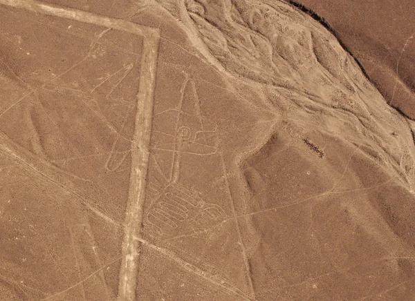 Vista aérea das Linhas de Nazca - Baleia — Fotografia de Stock