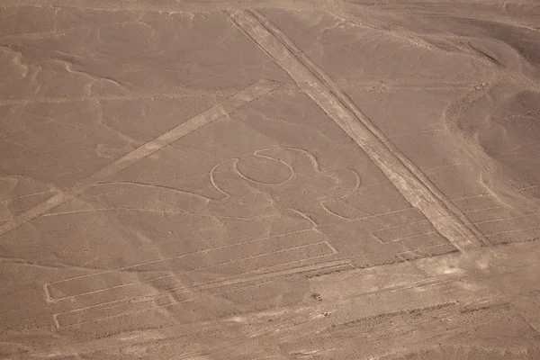 Vista aérea das Linhas de Nazca na colina - parte do Pelicano — Fotografia de Stock