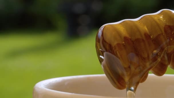 Honey pouring from honey spoon — Stock Video