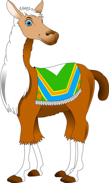 llama with blue eyes