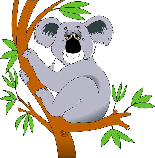 Γκρι koala σε κλαδί δέντρου — Διανυσματικό Αρχείο