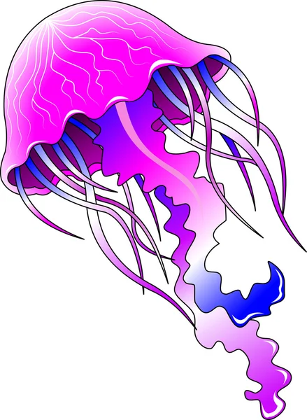 Schöne lila Qualle — Stockvektor