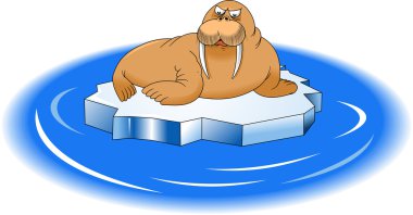 big walrus  lying on ice floe clipart