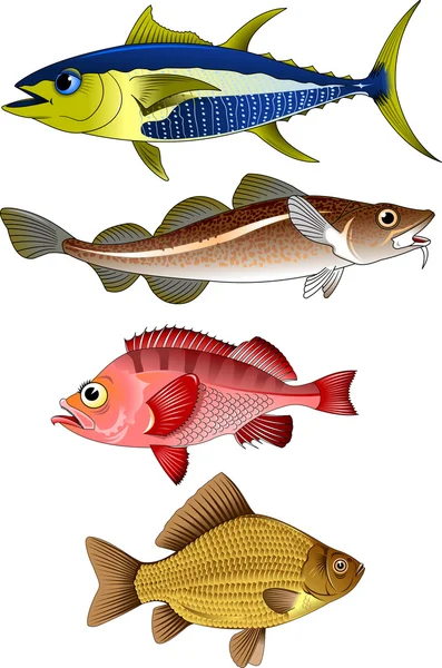 Melhor conjunto de ícones de peixe —  Vetores de Stock