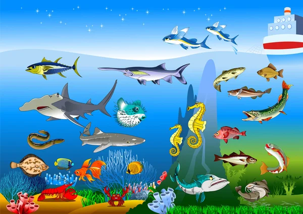 Different fishes in water — Stock Illustration Different fishes in water Royalty Free Stock Illustrations