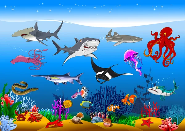 Anguila Vector Grafico Vectorial Imagenes De Anguila Vectoriales De Stock Depositphotos