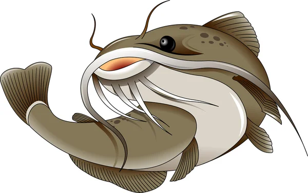 Bagre marino imágenes de stock de arte vectorial | Depositphotos