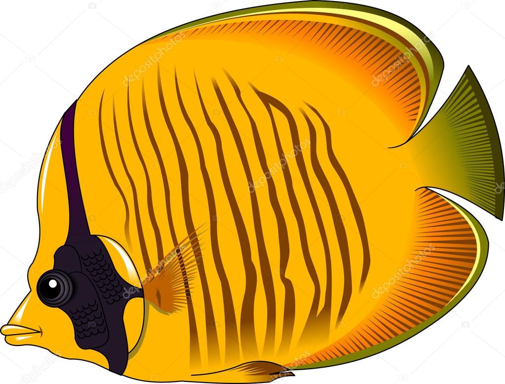 Download Yellow butterfly fish icon — Stock Vector © sababa66 #124304690