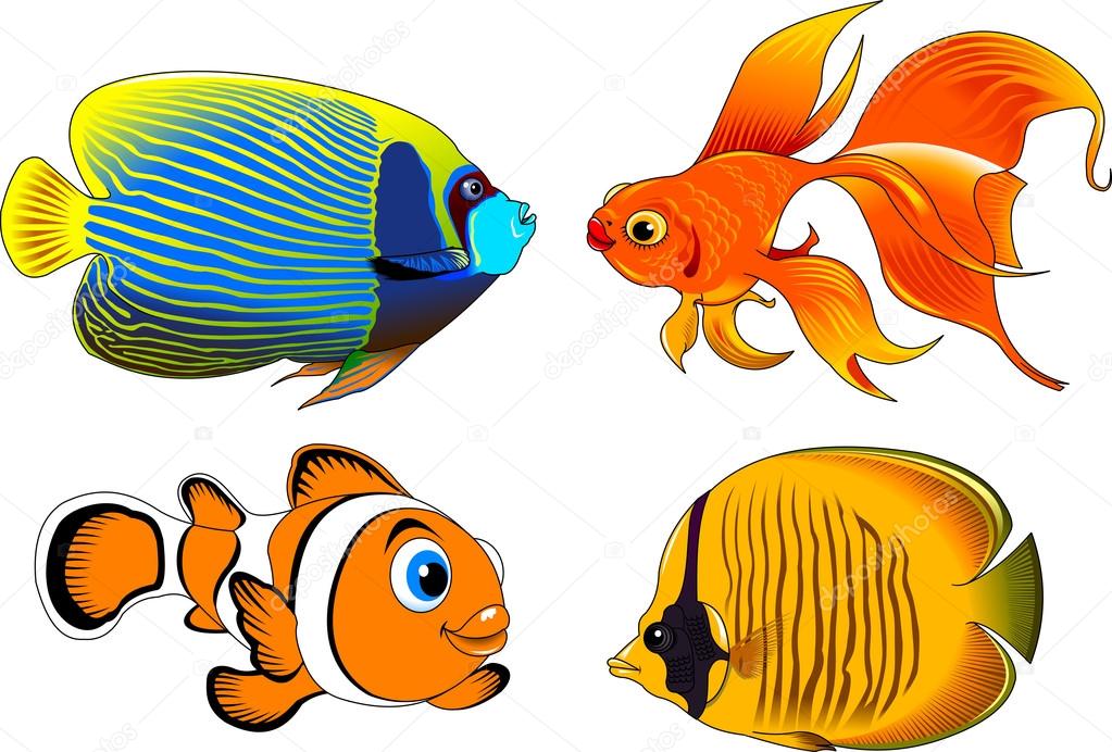 beautiful fish icons set