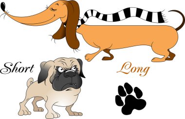 Çok uzun bir köpek küçük bir köpekle yürüyüşe çıktı, Vecto.