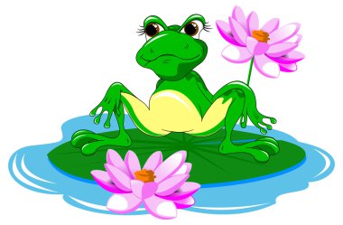 büyük yeşil kurbağa