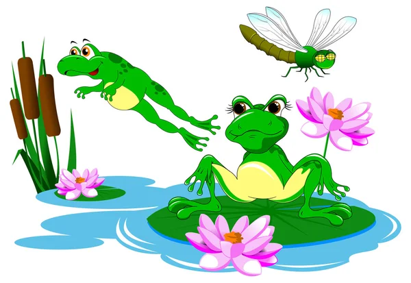 Green frogs in pond — Stock Vector