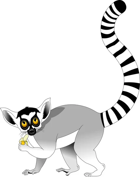 Hilarische lemur met grote gestreepte staart — Stockvector