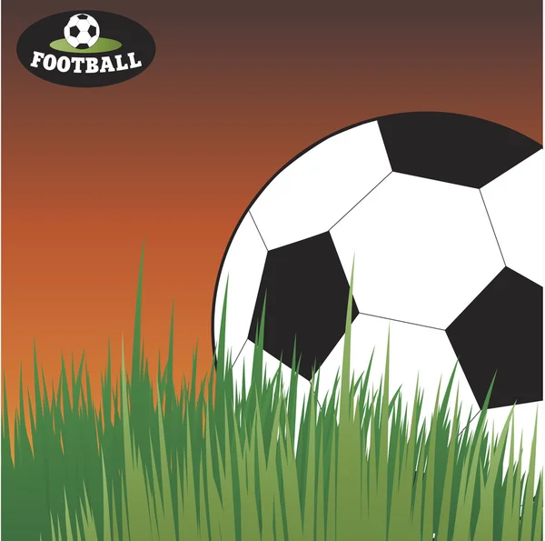 Pallone da calcio sdraiato sull'erba. Calcio . — Vettoriale Stock