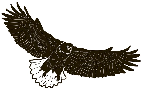 Obraz graficzny styl orła na białym tle. — Wektor stockowy