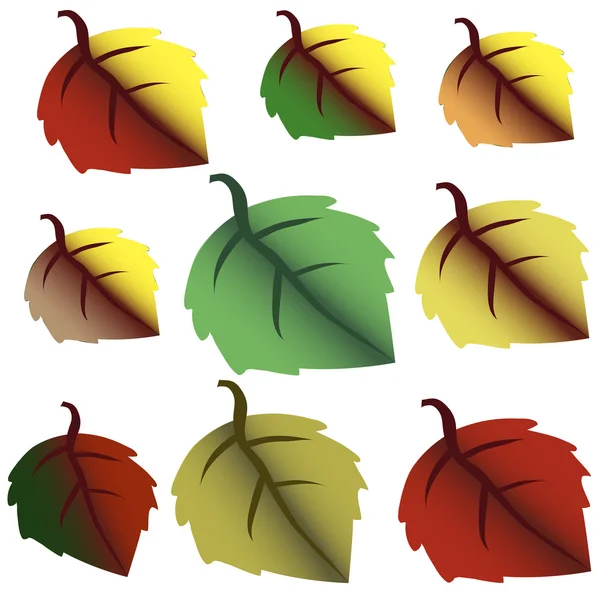 Ensemble de feuilles d'automne éléments de conception. Chute . — Image vectorielle