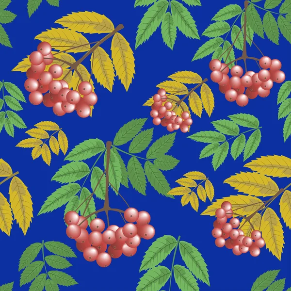마가 목 열매와 파란색 배경에 잎의 완벽 한 패턴 지점. — 스톡 벡터