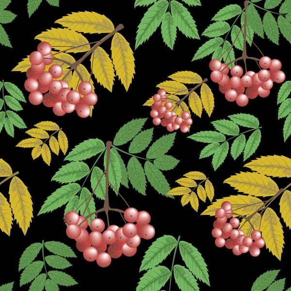 마가 목 열매와 잎 검은 배경에 완벽 한 패턴 지점. — 스톡 벡터