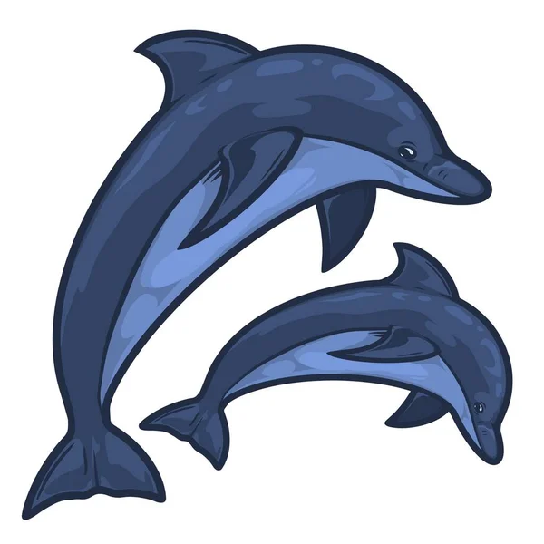 Dolphinariaストックベクター ロイヤリティフリーdolphinariaイラスト Depositphotos