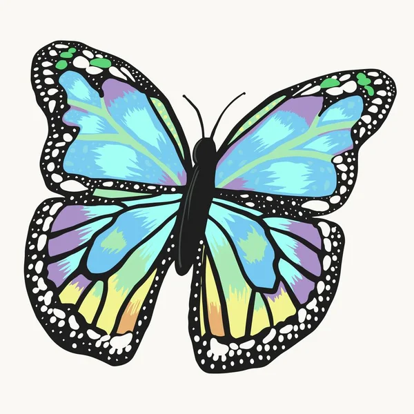 Mariposa Hermosa Aislada Sobre Fondo Blanco Elemento Diseño Ilustración Vectorial — Archivo Imágenes Vectoriales