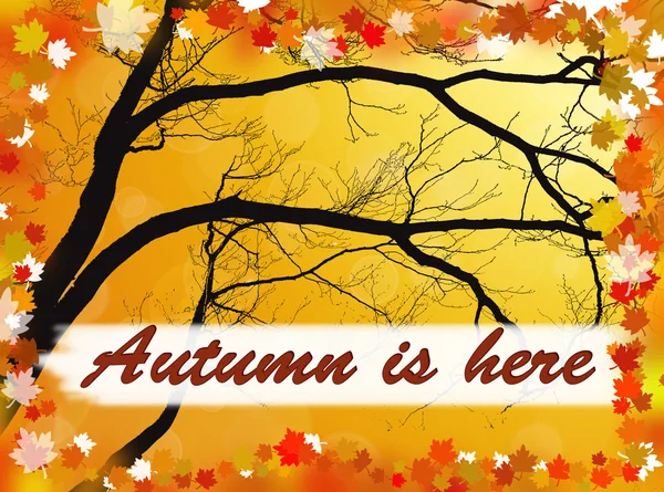 Autumn is here background — Stock Photo, Image