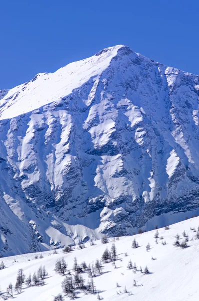 Berg i vinter — Stockfoto