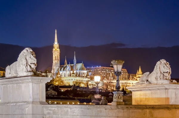 Budapest by night — Stock Photo, Image