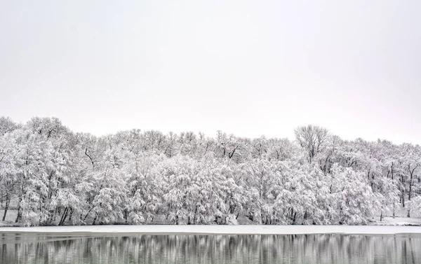 Kış Mevsiminde Kar Buzla Kaplı Göl Orman Tipik Avrupa Kış — Stok fotoğraf