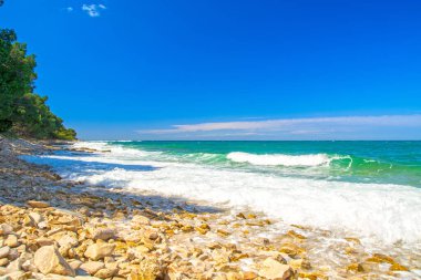 Adriyatik Denizi kıyısında Hırvatistan 'da Pula, Valbandon, Istria yarımadası, Barbariga plajı yakınlarındaki çam ağaçlarıyla.