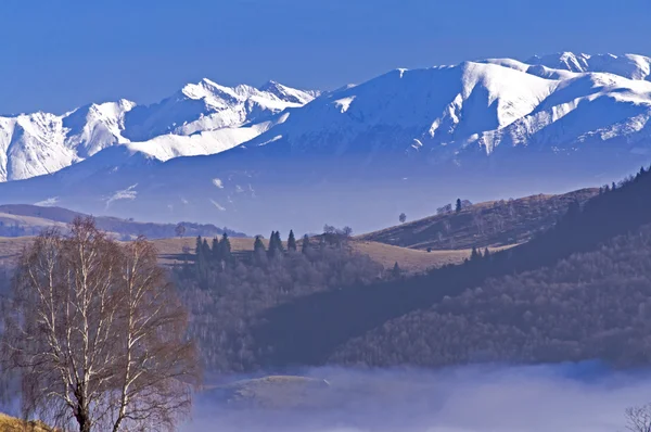 Krajobraz Tirol w lecie — Zdjęcie stockowe