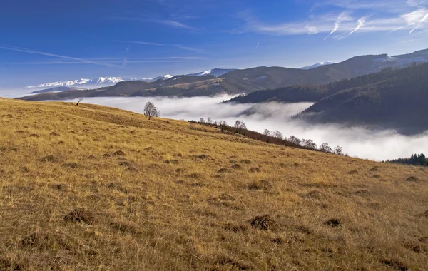 Krajobraz Tirol w lecie — Zdjęcie stockowe