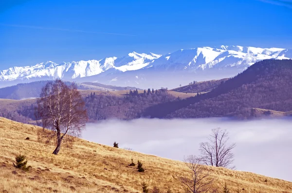 Carpathias montagne paesaggio — Foto Stock