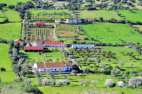 Paisagem de Monsaraz, região do Alentejo, Portugal . — Fotografia de Stock