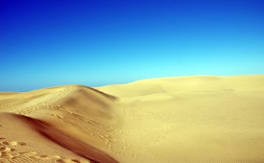Maspalomas Beach kumulları. Gran Canaria.