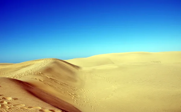 Wydmy z plaży Maspalomas. Gran Canaria. — Zdjęcie stockowe