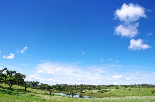 Vista del paisaje primaveral de la región del Alentejo en Portugal — Foto de Stock