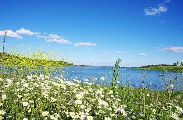 Landschap van Alqueva lake, Portugal — Stockfoto