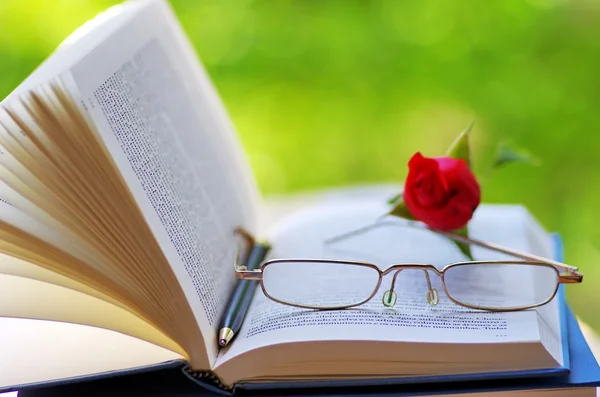 Open boek, pen en glazen. — Stockfoto