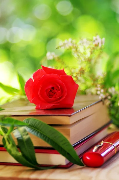 red rose on the books
