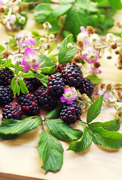 Flowering branches of blackberries on table — Stock Photo, Image