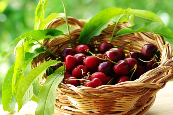 Ripe cherry fruit in a basket — Stock Photo, Image