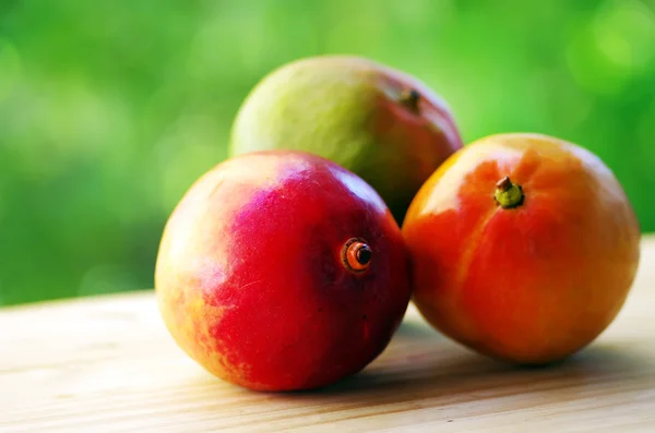 Üç olgun tropikal meyve mango — Stok fotoğraf