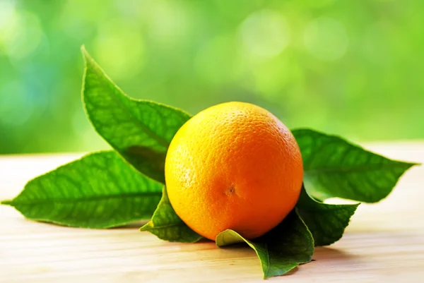 Naranja maduro aislado sobre fondo verde —  Fotos de Stock